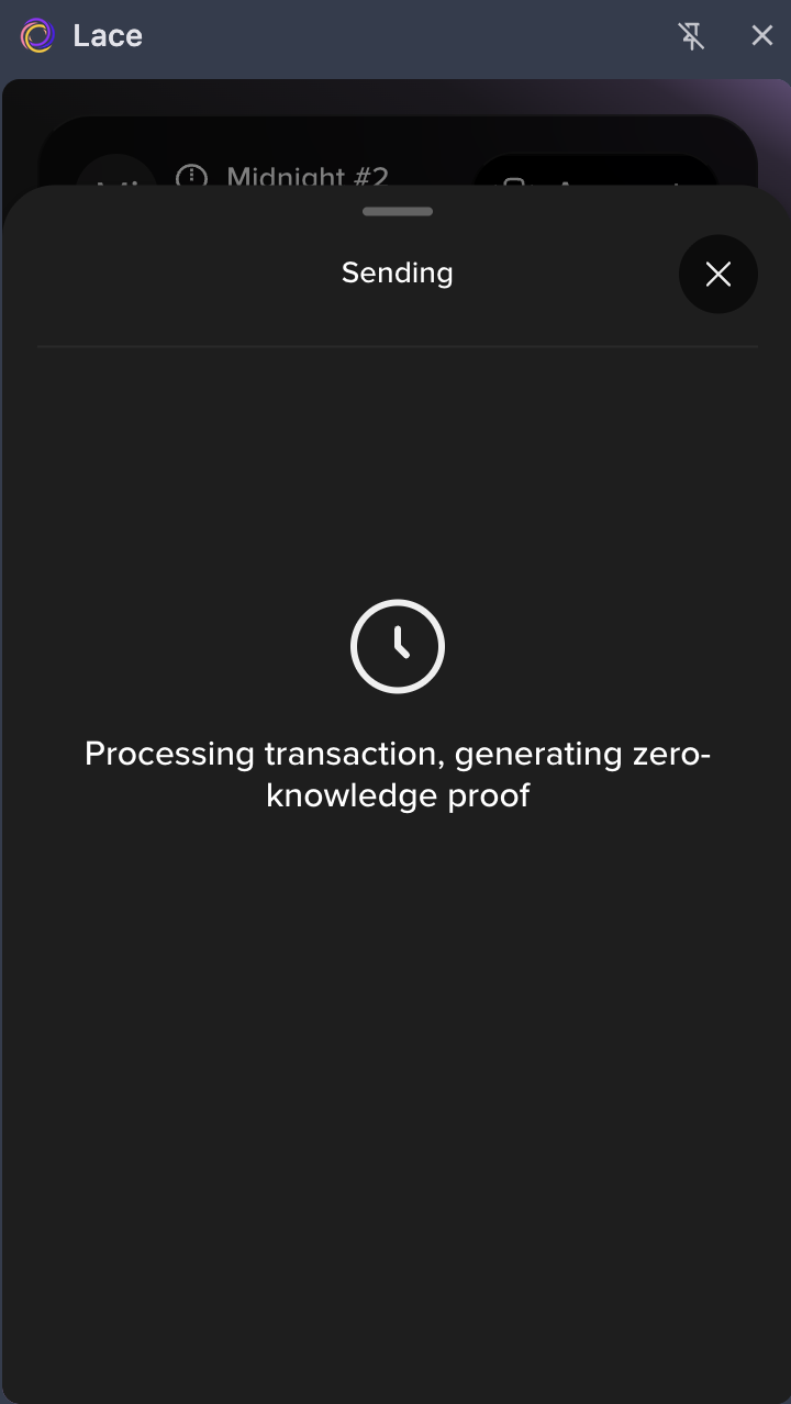 Generating the ZK proof